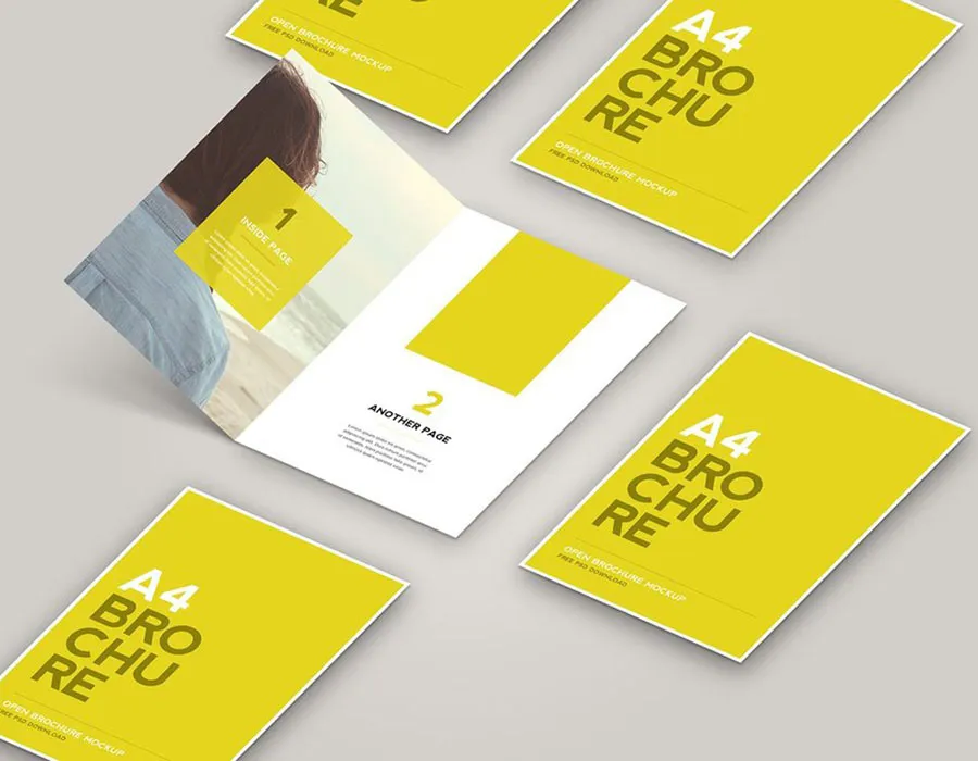 Brochures